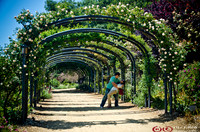 Descanso Gardens